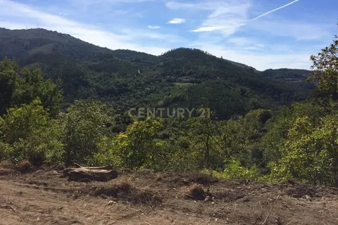 Terra a Parada do Bouro, Braga, Parada do Bouro - € 40.000 | Ref: C0256-03180 - foto 2