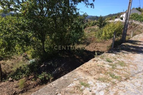 Terra a Parada do Bouro, Braga, Parada do Bouro - € 40.000 | Ref: C0256-03180 - foto 9