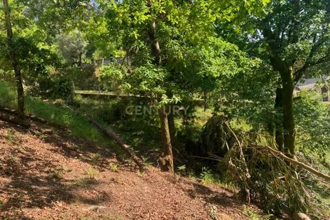 Villa i Braga, Braga, Braga - € 550.000 | Ref: C0256-03207 - foto 46