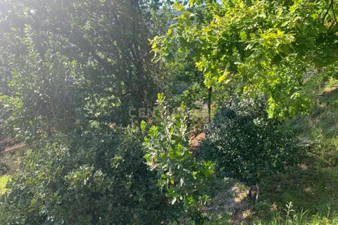 Villa i Braga, Braga, Braga - € 550.000 | Ref: C0256-03207 - foto 49