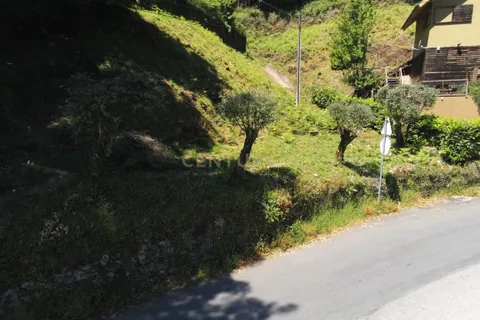 Helårsgrund i Celorico de Basto, Braga, Celorico de Basto - € 100.000 | Ref: C0256-03238 - foto 15