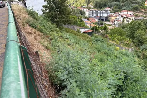 Helårsgrund i Braga, Braga, Braga - € 67.500 | Ref: C0256-03307 - foto 2
