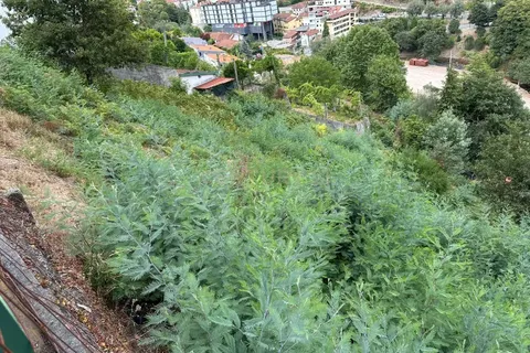Helårsgrund i Braga, Braga, Braga - € 67.500 | Ref: C0256-03307 - foto 13