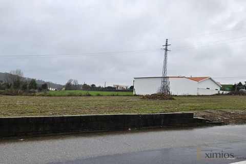 Helårsgrund i Vila do Conde, Porto, Vila do Conde - € 165.000 | Ref: EX03736 - foto 2