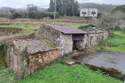 Villa i Barcelos, Braga, Barcelos - € 220.000 | Ref: 254260637 - foto 25