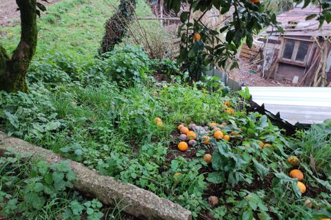 Villa i Barcelos, Braga, Barcelos - € 220.000 | Ref: 254260637 - foto 31