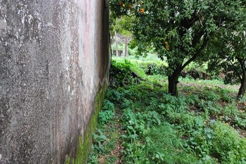 Villa i Barcelos, Braga, Barcelos - € 220.000 | Ref: 254260637 - foto 32