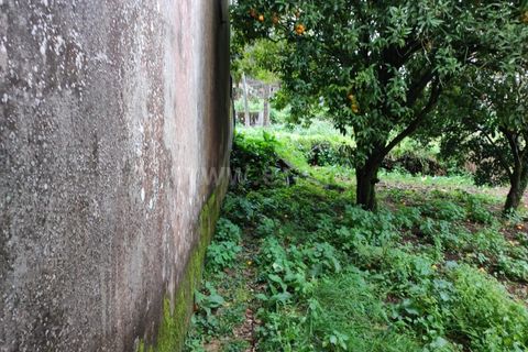 Villa i Barcelos, Braga, Barcelos - € 220.000 | Ref: 254260637 - foto 33