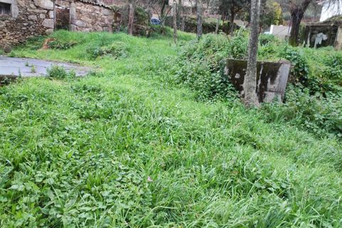 Villa i Barcelos, Braga, Barcelos - € 220.000 | Ref: 254260637 - foto 34