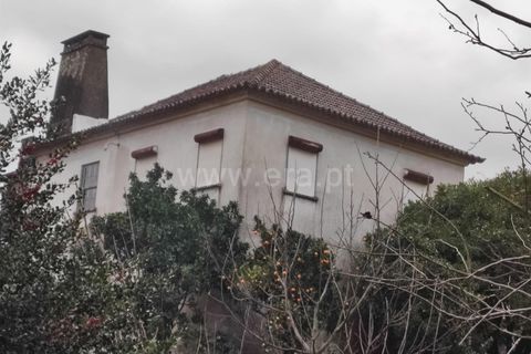 Villa i Barcelos, Braga, Barcelos - € 220.000 | Ref: 254260637 - foto 39