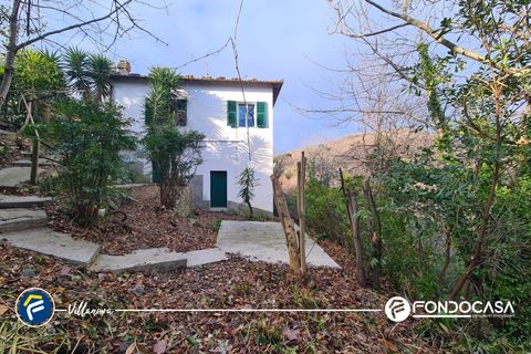 Villa i Testico, Savona, Testico - € 179.000 | Ref: F864-178 - foto 24