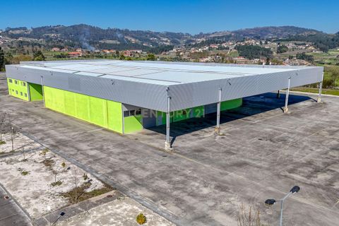 Erhvervsejendom i Amarante, Porto, Amarante - € 5.800.000 | Ref: C0412-00791 - foto 5