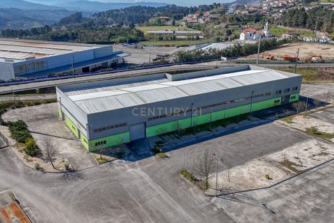 Erhvervsejendom i Amarante, Porto, Amarante - € 5.800.000 | Ref: C0412-00791 - foto 9