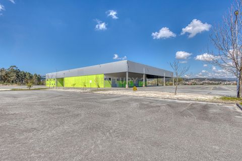 Erhvervsejendom i Amarante, Porto, Amarante - € 5.800.000 | Ref: C0412-00791 - foto 39