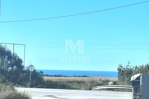 Villa i Viana do Castelo, Viana do Castelo, Viana do Castelo - € 415.000 | Ref: S225 - foto 6