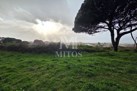Terra a Areosa, Viana do Castelo, Areosa - € 780.000 | Ref: C575 - foto 2