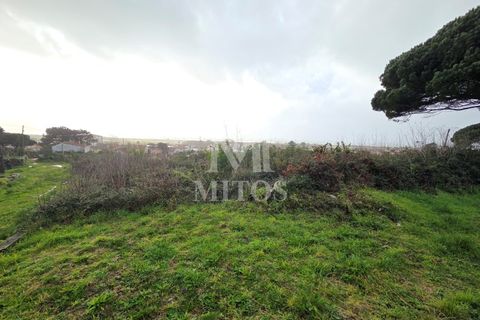 Terra a Areosa, Viana do Castelo, Areosa - € 780.000 | Ref: C575 - foto 3