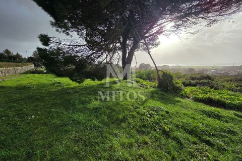 Terra a Areosa, Viana do Castelo, Areosa - € 780.000 | Ref: C575 - foto 4