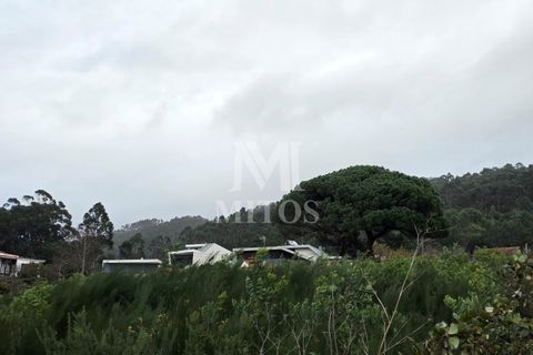 Terra a Areosa, Viana do Castelo, Areosa - € 780.000 | Ref: C575 - foto 5