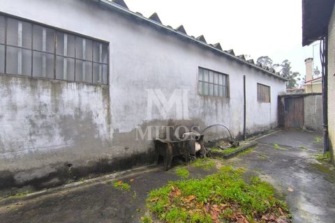 Erhvervsejendom i Barcelos, Braga, Barcelos - € 425.000 | Ref: S235 - foto 7