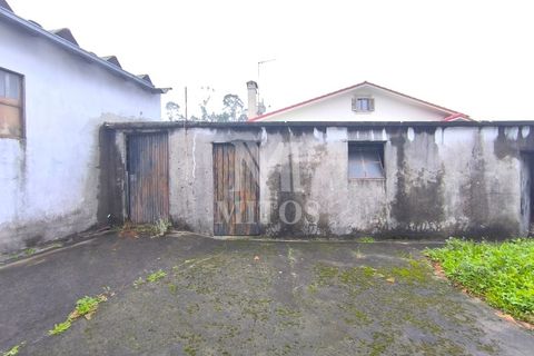 Erhvervsejendom i Barcelos, Braga, Barcelos - € 425.000 | Ref: S235 - foto 8