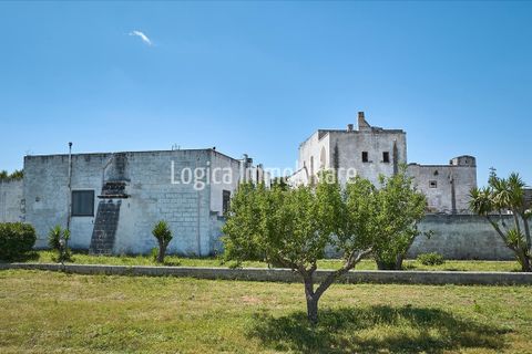Farm hus i Avetrana, Taranto, Avetrana - € 1.000.000 | Ref: CA629 - foto 3