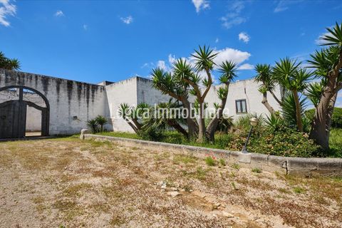 Farm hus i Avetrana, Taranto, Avetrana - € 1.000.000 | Ref: CA629 - foto 4