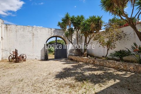 Farm hus i Avetrana, Taranto, Avetrana - € 1.000.000 | Ref: CA629 - foto 5