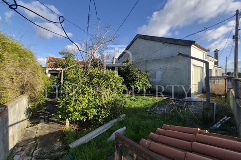 Villa i Quinta do Anjo, Setubal, Quinta do Anjo - € 175.000 | Ref: KN_409 - foto 3