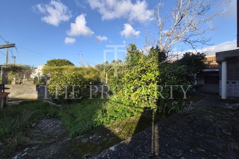 Villa i Quinta do Anjo, Setubal, Quinta do Anjo - € 175.000 | Ref: KN_409 - foto 7