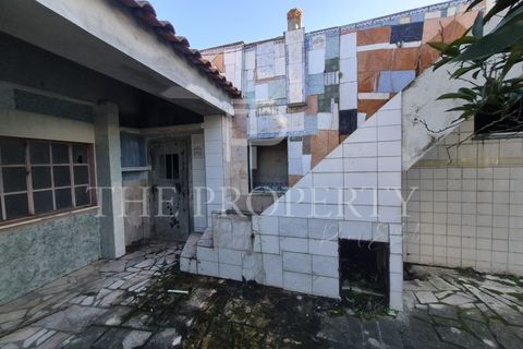 Villa i Quinta do Anjo, Setubal, Quinta do Anjo - € 175.000 | Ref: KN_409 - foto 12