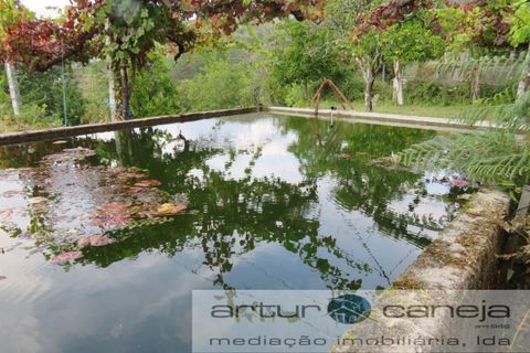 Helårsgrund i Arcos de Valdevez, Viana do Castelo, Arcos de Valdevez - € 28.000 | Ref: 6937 - foto 2