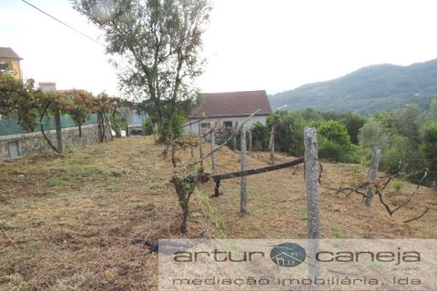 Helårsgrund i Arcos de Valdevez, Viana do Castelo, Arcos de Valdevez - € 28.000 | Ref: 6937 - foto 4