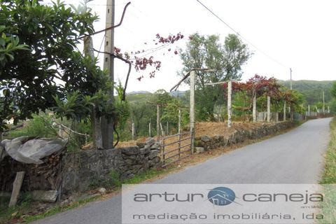 Helårsgrund i Arcos de Valdevez, Viana do Castelo, Arcos de Valdevez - € 28.000 | Ref: 6937 - foto 5