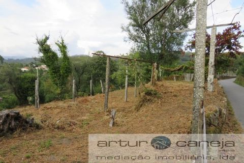 Helårsgrund i Arcos de Valdevez, Viana do Castelo, Arcos de Valdevez - € 28.000 | Ref: 6937 - foto 7