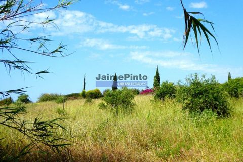 Helårsgrund i Lagoa, Faro, Lagoa - € 3.100.000 | Ref: 9937_H - foto 3
