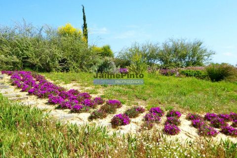 Helårsgrund i Lagoa, Faro, Lagoa - € 3.100.000 | Ref: 9937_H - foto 6