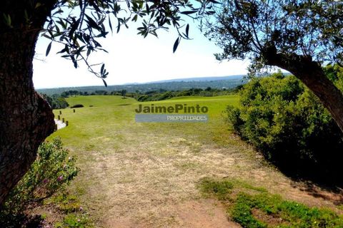 Helårsgrund i Lagoa, Faro, Lagoa - € 6.200.000 | Ref: 9939_H - foto 3
