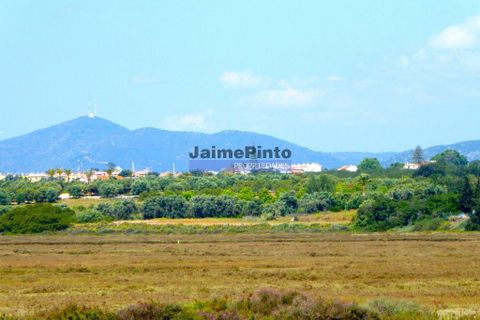 Helårsgrund i Lagoa, Faro, Lagoa - € 6.200.000 | Ref: 9939_H - foto 7