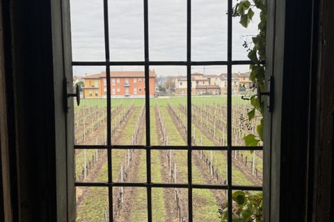 Landejendom i Lonigo, Vicenza, Lonigo - € 420.000 | Ref: VRUS10H - foto 15