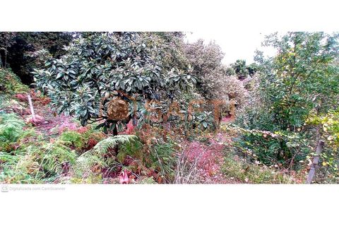 Farm i Moncao, Viana do Castelo, Moncao - € 132.000 | Ref: SAFTI:007609 - foto 4