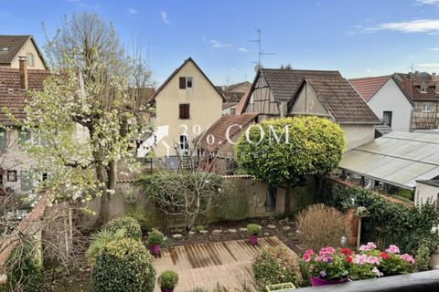 Lejlighed i Schiltigheim, Bas-Rhin, Schiltigheim - € 293.000 | Ref: 264_V3480062643 - foto 3