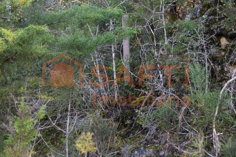 Helårsgrund i Assafarge e Antanhol, Coimbra, Assafarge e Antanhol - € 80.000 | Ref: SAFTI:007588 - foto 10
