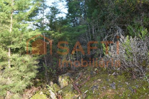 Helårsgrund i Assafarge e Antanhol, Coimbra, Assafarge e Antanhol - € 80.000 | Ref: SAFTI:007588 - foto 11