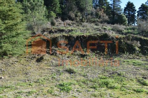 Helårsgrund i Assafarge e Antanhol, Coimbra, Assafarge e Antanhol - € 80.000 | Ref: SAFTI:007588 - foto 14