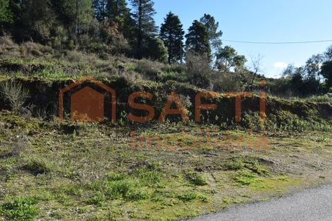 Helårsgrund i Assafarge e Antanhol, Coimbra, Assafarge e Antanhol - € 80.000 | Ref: SAFTI:007588 - foto 15