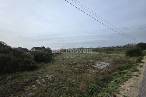 Helårsgrund i Olaia e Paco, Santarem, Olaia e Paco - € 6.000 | Ref: 01859-26 - foto 3