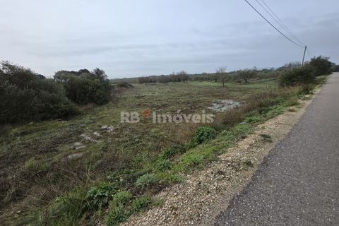 Helårsgrund i Olaia e Paco, Santarem, Olaia e Paco - € 6.000 | Ref: 01859-26 - foto 2