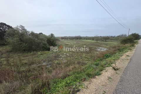 Helårsgrund i Olaia e Paco, Santarem, Olaia e Paco - € 6.000 | Ref: 01859-26 - foto 4
