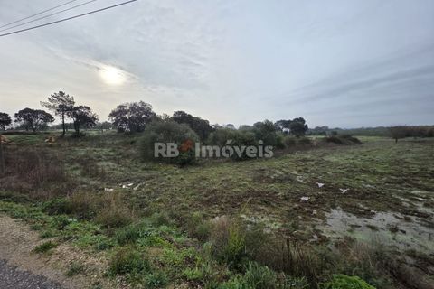 Helårsgrund i Olaia e Paco, Santarem, Olaia e Paco - € 6.000 | Ref: 01859-26 - foto 5